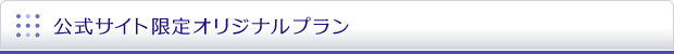 公式サイト限定オリジナルプラン