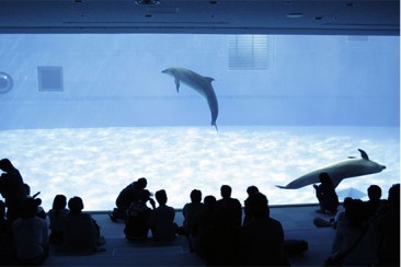 写真:名古屋港水族館