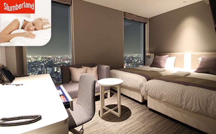 写真:スーペリアツインからの眺望