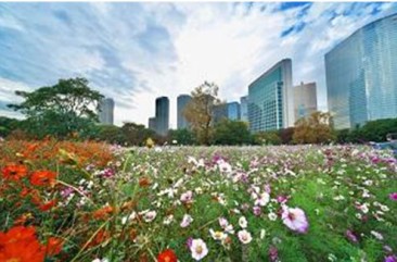 写真:浜離宮恩賜庭園