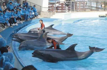 写真：南知多ビーチランド