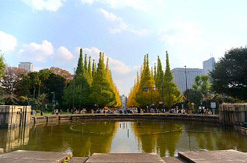 写真：明治神宮外苑いちょう並木