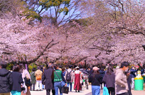 写真：上野恩賜公園・動物園