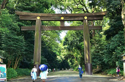 写真：明治神宮