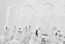 写真：ビニール傘